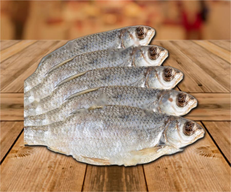 Плотва (Rutilus caspicus) с головой, не выпотрошенная, засоленная, сушеная, замороженная.
