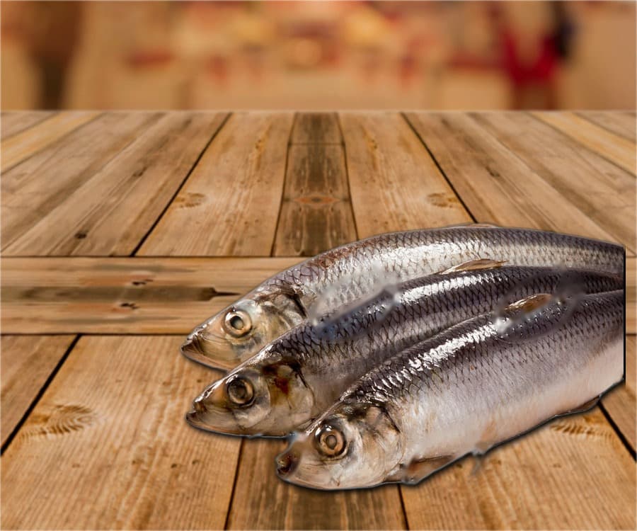 Hareng (Clupea harengus), non vidé, avec tête, en saumure, ~300g, (ATG 7000g)